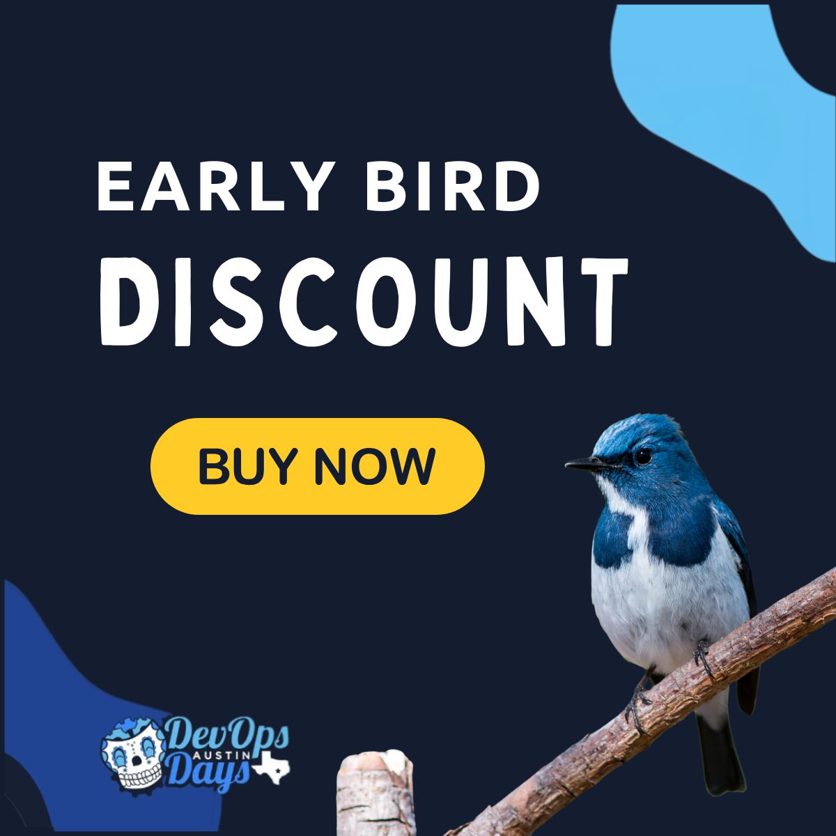 Early bird discount image in branding colors
